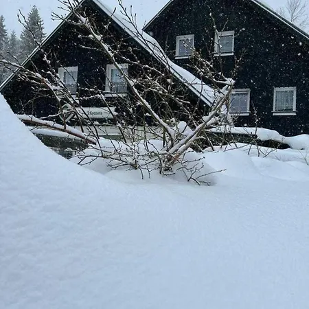 U Kocoura Desná