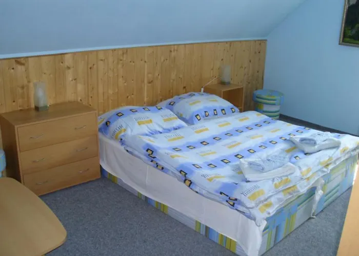 U Kocoura בית הארחה 3*