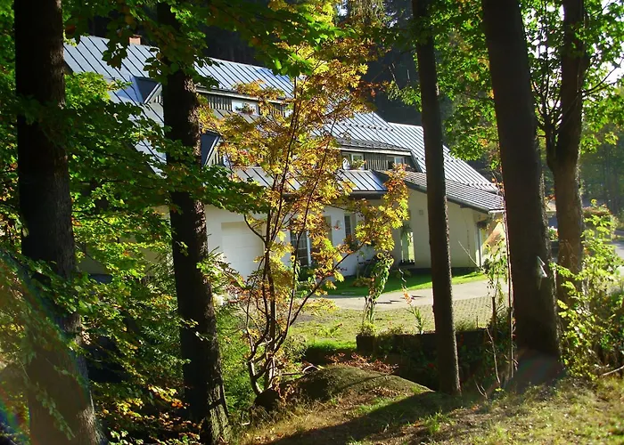 U Kocoura בית הארחה Desná