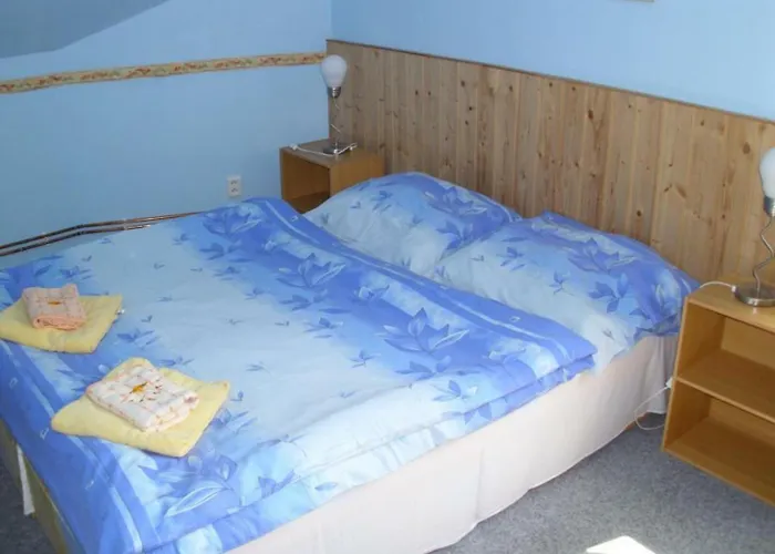 U Kocoura 3* Desná
